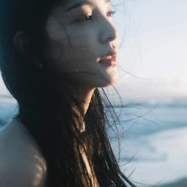 分歧者